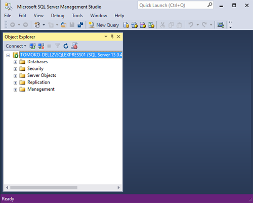 SQL Server Management Studio (SSMS) でデータベースに接続する 7