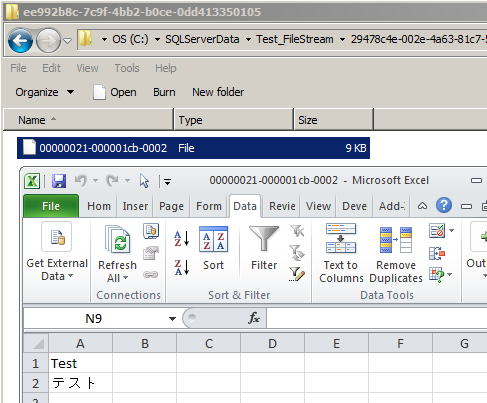 SQL Server: FILESTREAM（ファイルストリーム） を使ってファイルを保存する方法 9